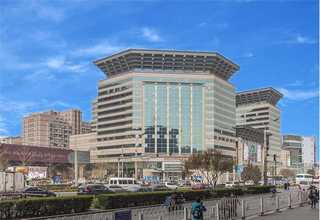 上海鼓式木片机多少钱